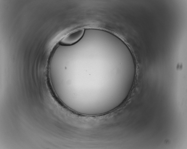 X0000113120007200909111150