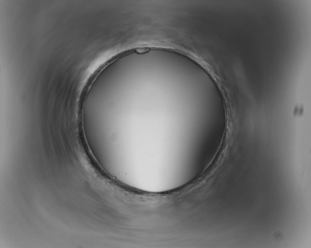 X0000113120008200909111150