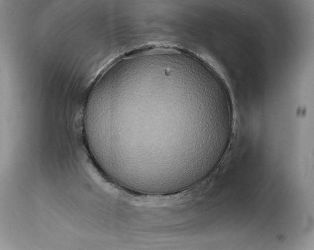 X0000113120009200909111150