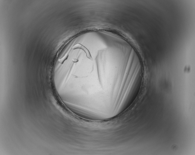 X0000113120010200909111150