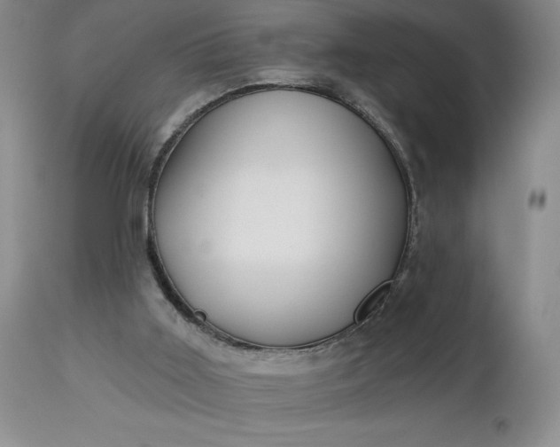 X0000113120011200909111150