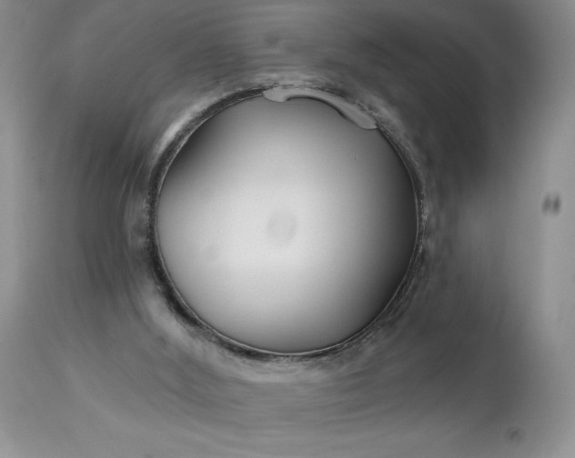 X0000113120012200909111150