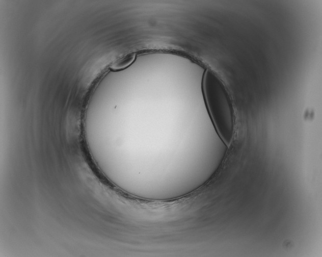 X0000113120015200909111150