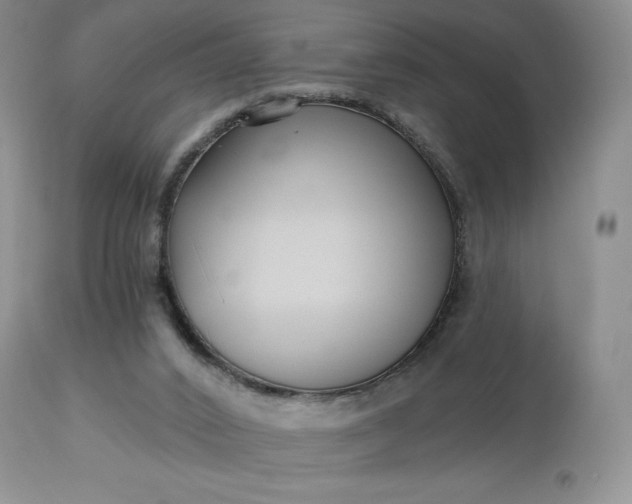 X0000113120016200909111150