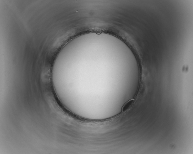 X0000113120017200909111150