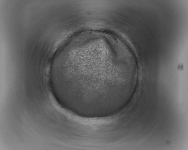 X0000113120018200909111150