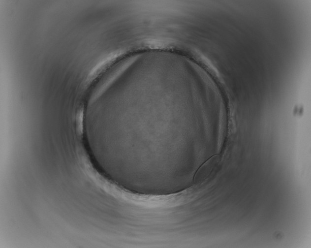 X0000113120019200909111150