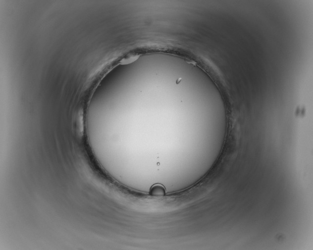 X0000113120020200909111150