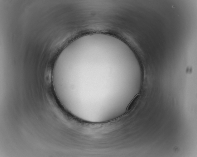 X0000113120021200909111150