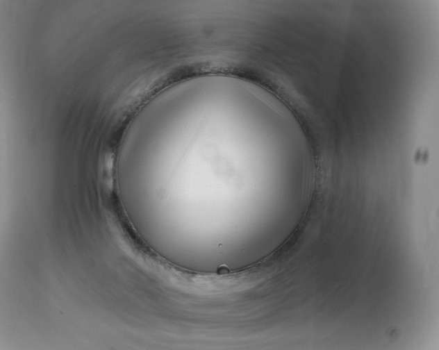 X0000113120022200909111150