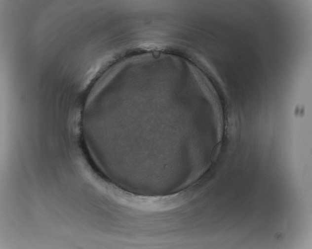 X0000113120023200909111150