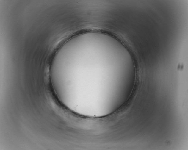 X0000113120024200909111150