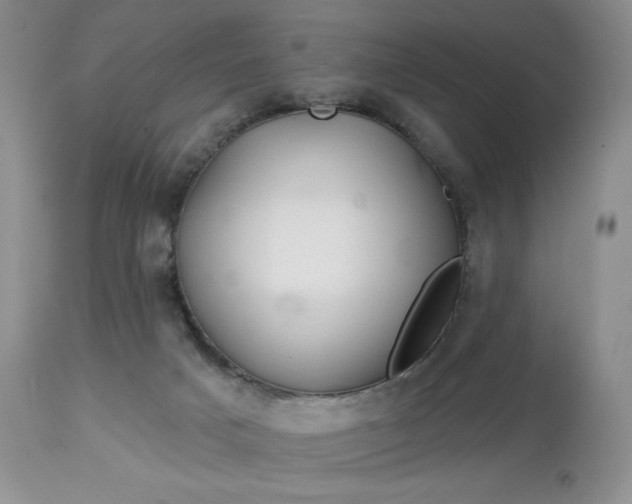 X0000113120025200909111150