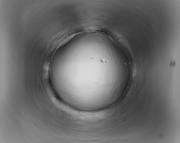 X0000113120026200909111150