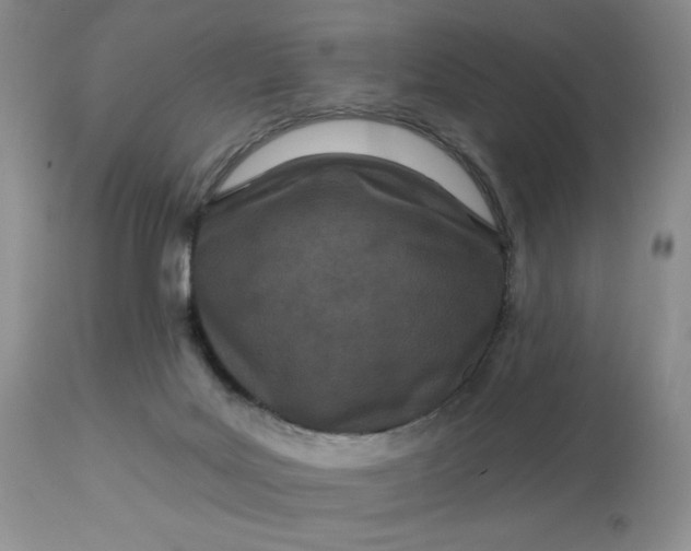 X0000113120027200909111150