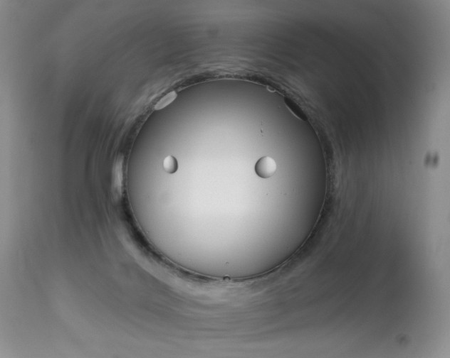 X0000113120028200909111150