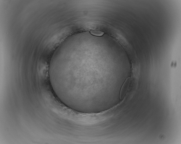 X0000113120029200909111150