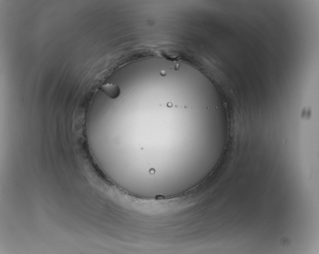 X0000113120030200909111150