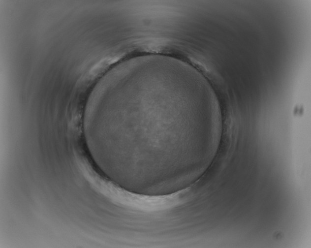 X0000113120031200909111150