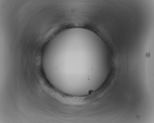 X0000113120032200909111150