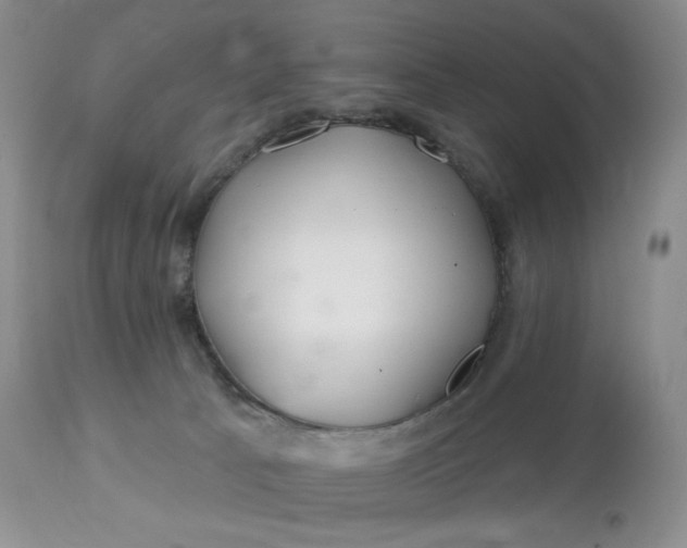 X0000113120033200909111150