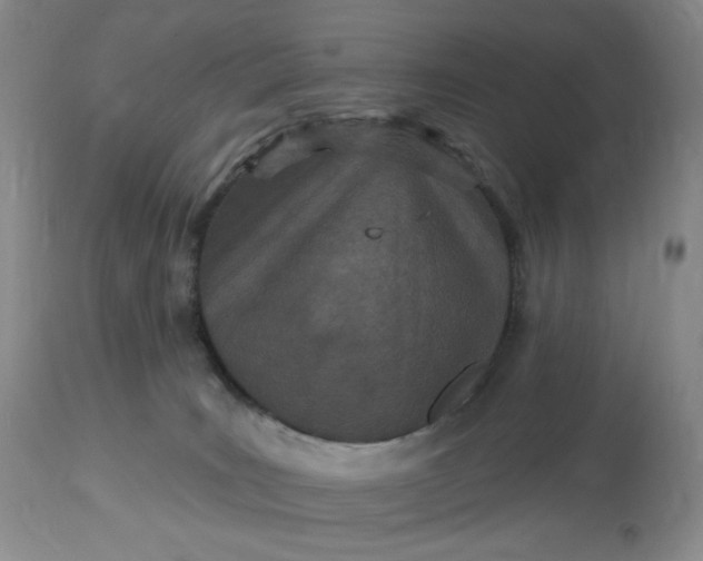 X0000113120035200909111150