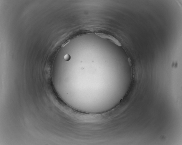 X0000113120036200909111150