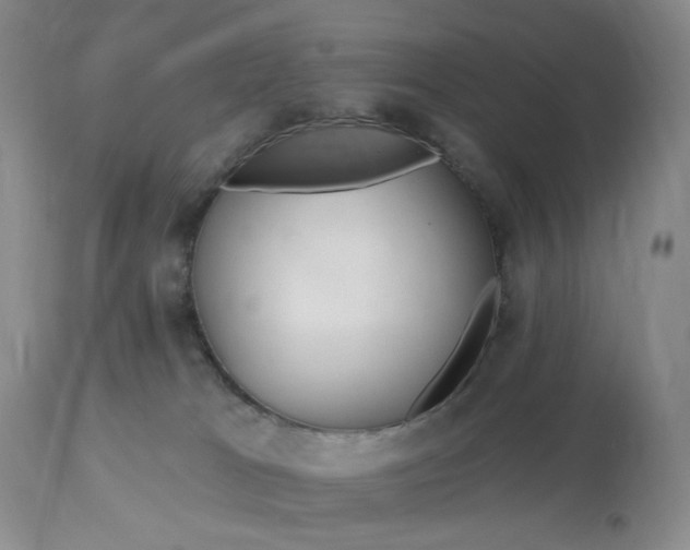 X0000113120037200909111150