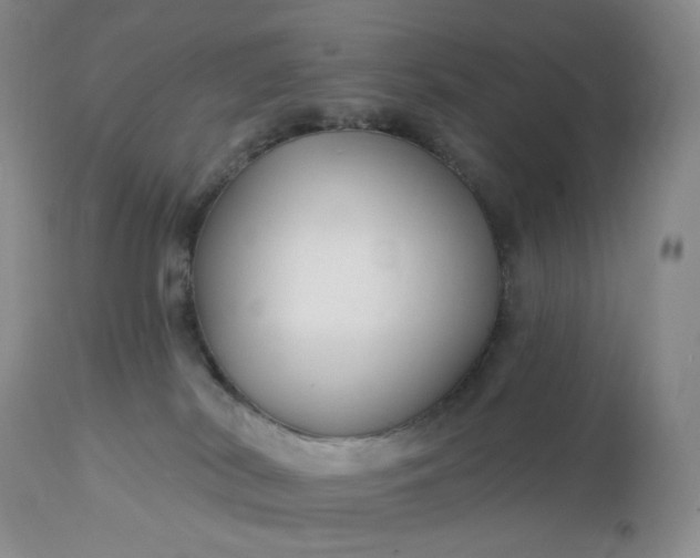 X0000113120038200909111150