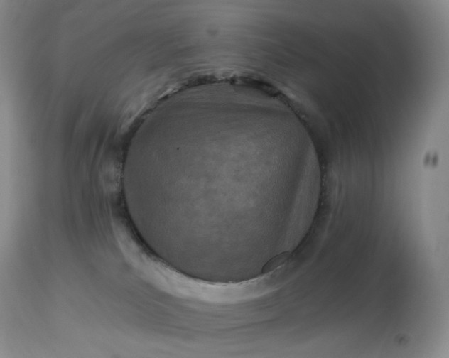 X0000113120039200909111150