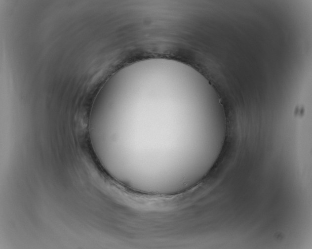 X0000113120040200909111150