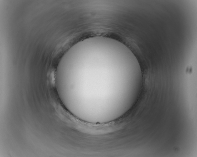 X0000113120042200909111150