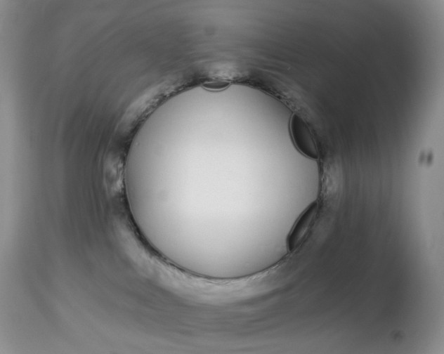 X0000113120043200909111150