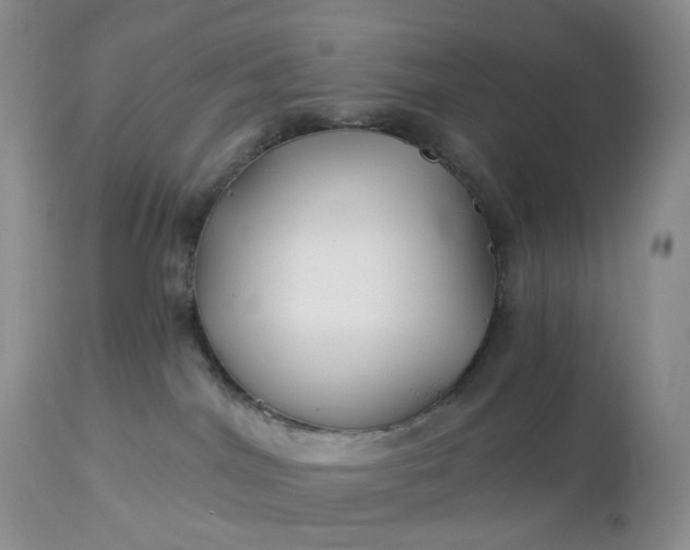 X0000113120044200909111150