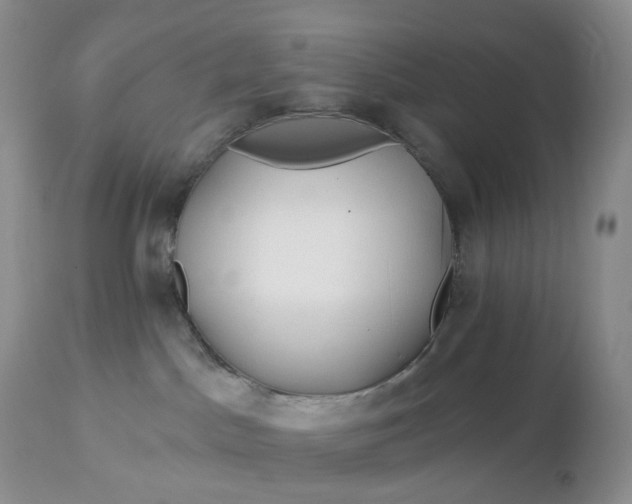 X0000113120045200909111150