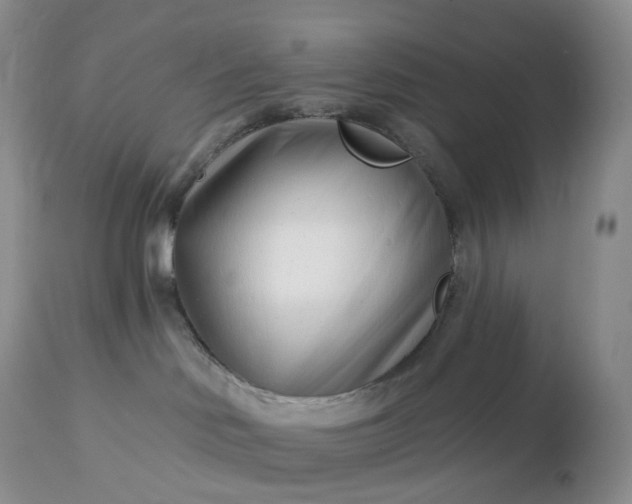 X0000113120046200909111150