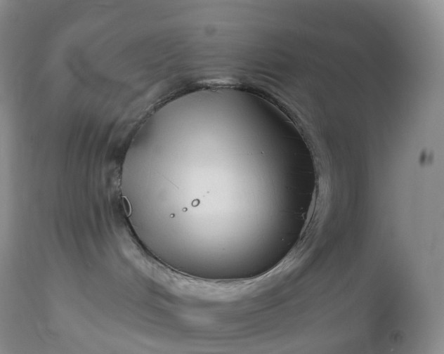 X0000113120048200909111150