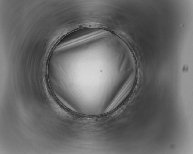 X0000113120049200909111149