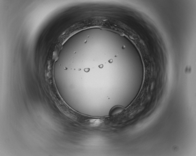 X0000113120050200909111149