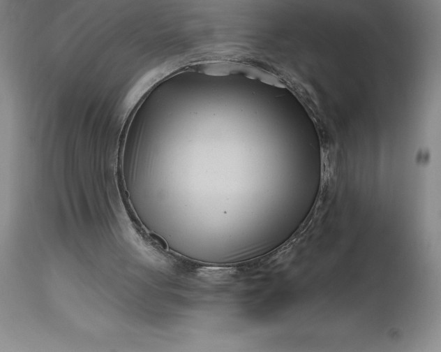 X0000113120051200909111149