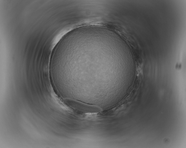 X0000113120052200909111149