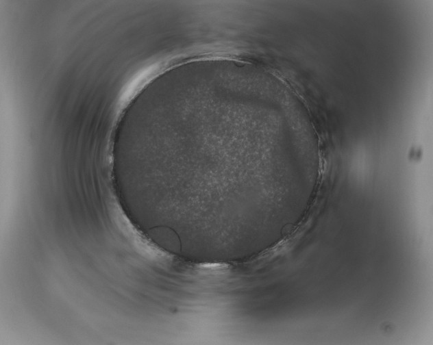 X0000113120053200909111149