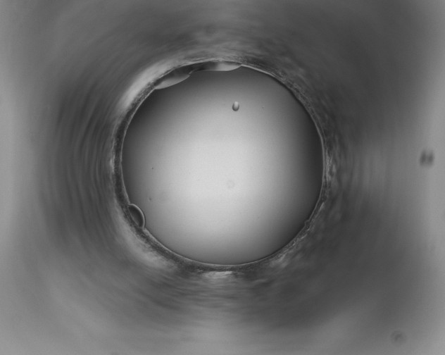 X0000113120054200909111149