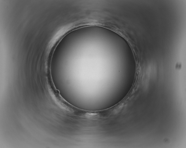 X0000113120055200909111149