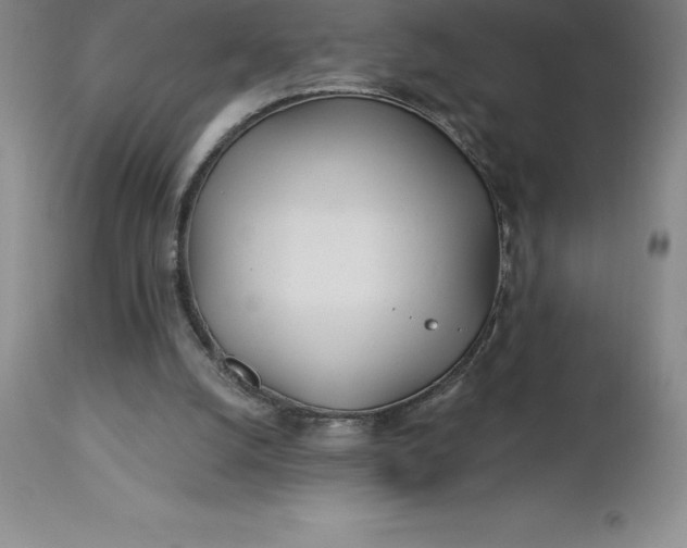 X0000113120056200909111149