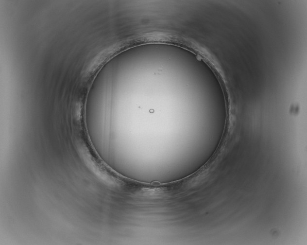 X0000113120057200909111149