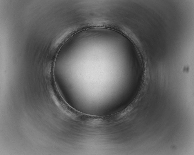 X0000113120058200909111149