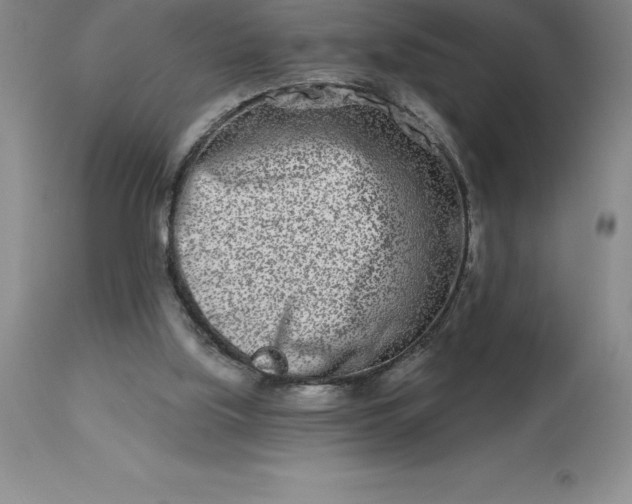 X0000113120059200909111149