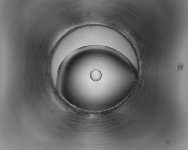 X0000113120060200909111149