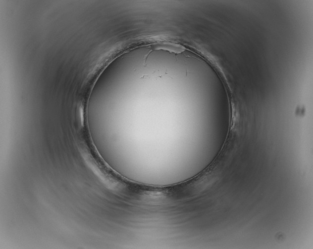 X0000113120061200909111149